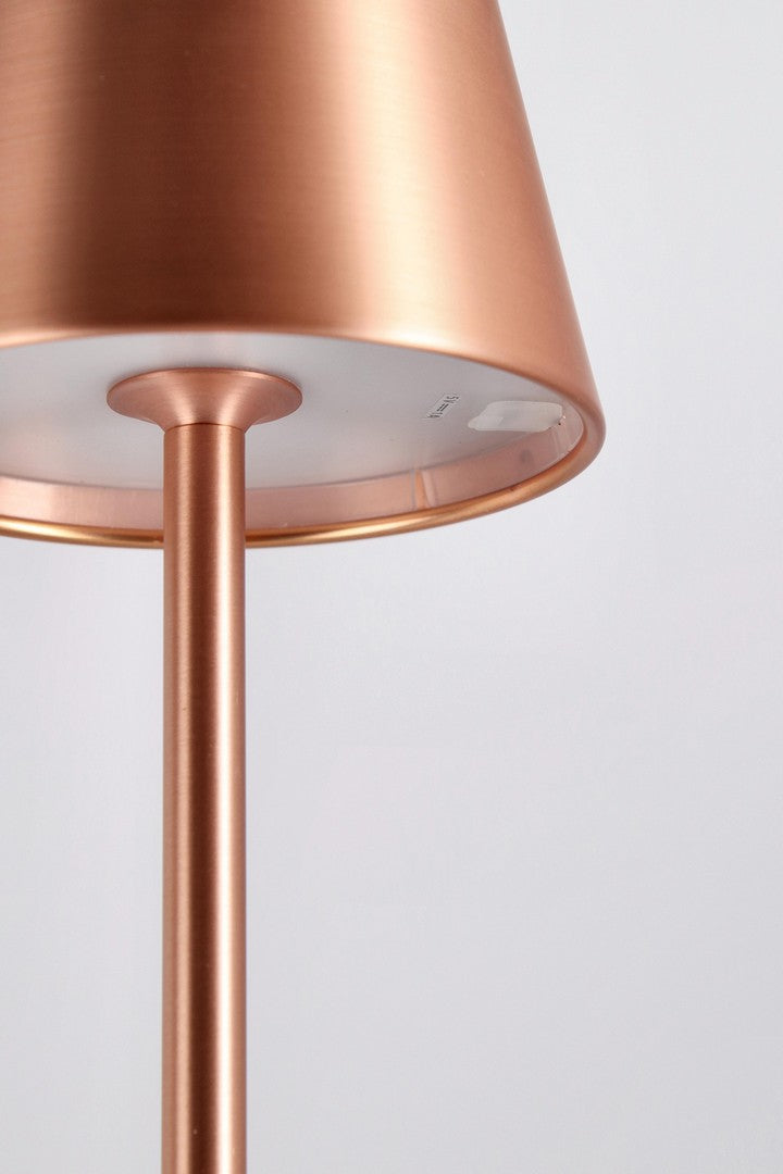 Piantana led etna bronzo h115