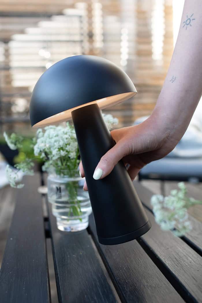 108655_fungi_103