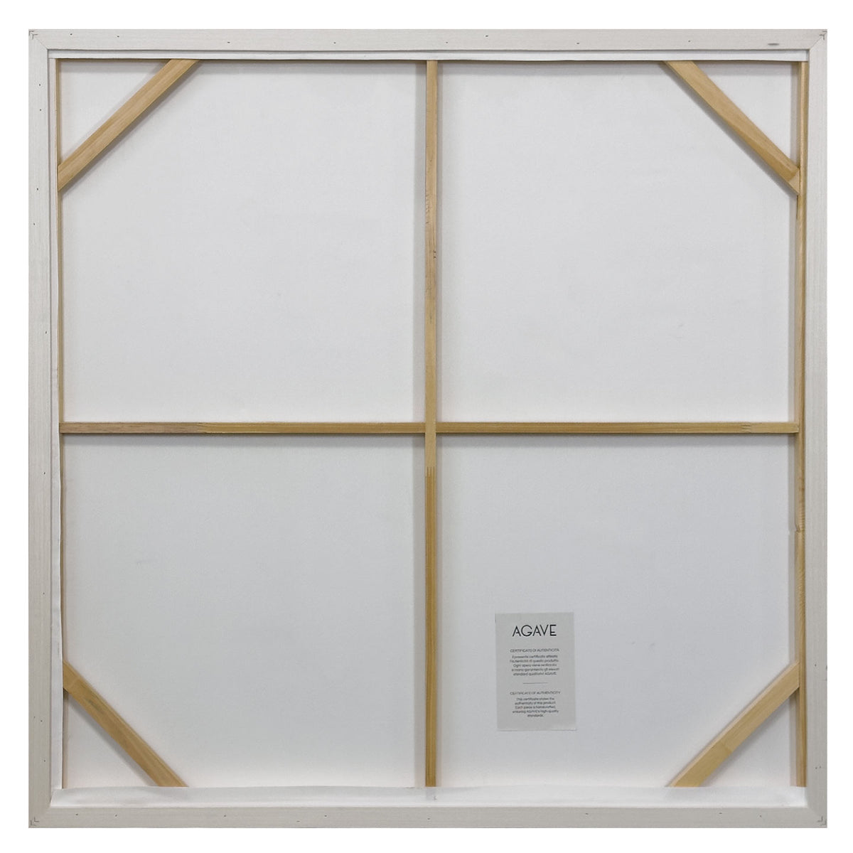 Focus 100x100