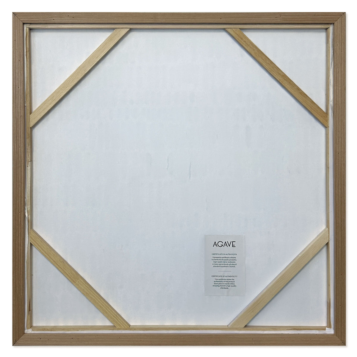 Amazzonia 80x80