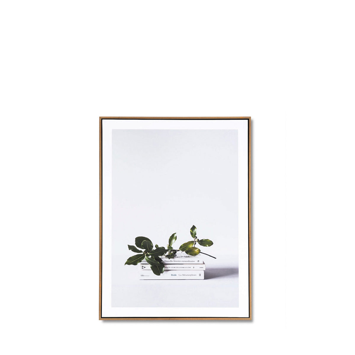 Quadro BOOK 50x70