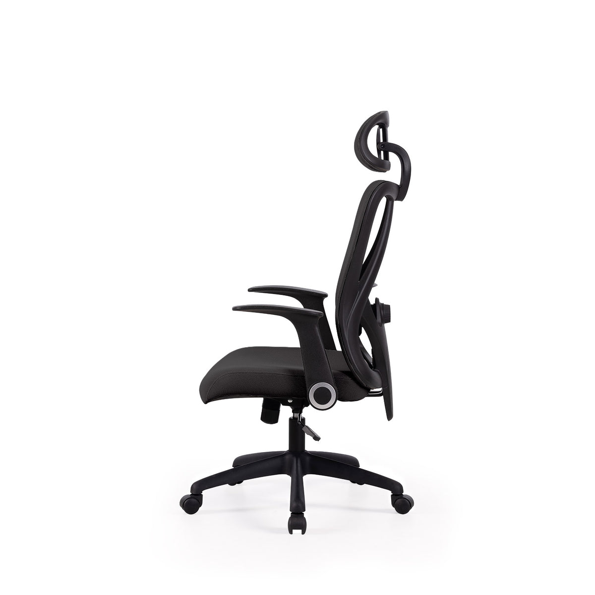Sedia da ufficio MONTREAL