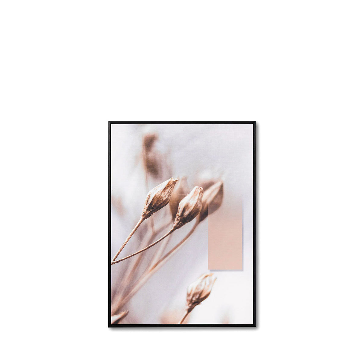 Quadro DARLING 3 50x70 - Nero