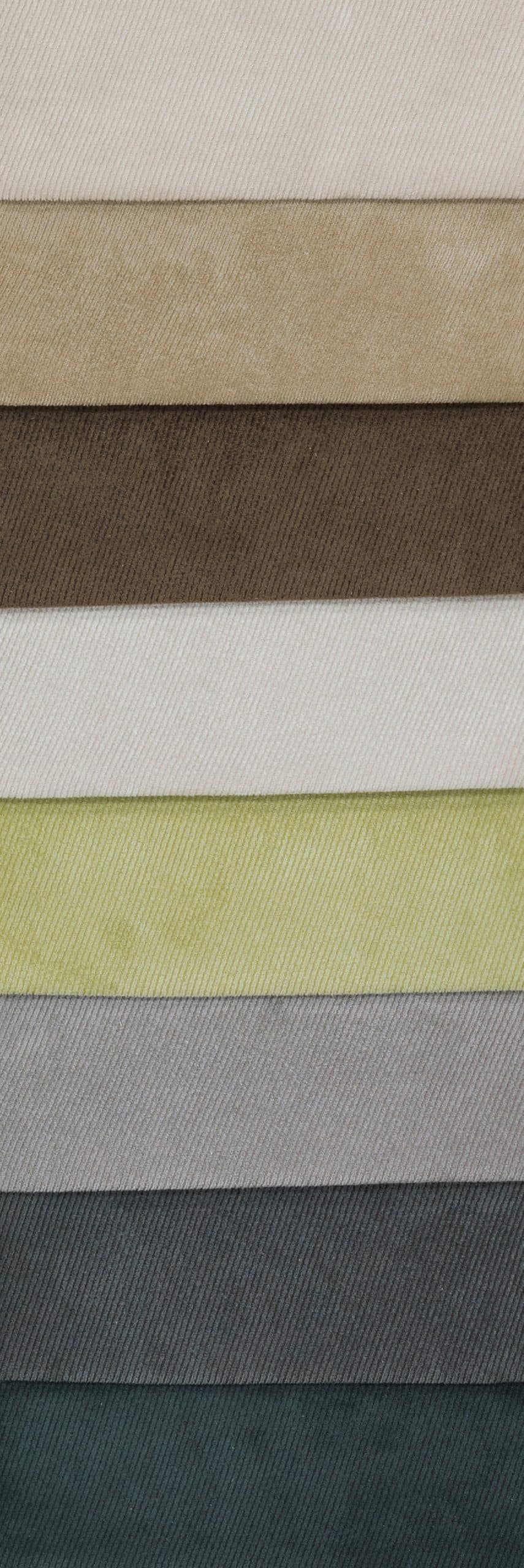 Mollia swatch card