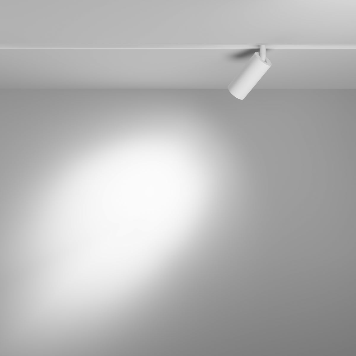 Faretto per binario Focus LED - Maytoni - Bianco - TR032-4-5WTW-S-DD2-W