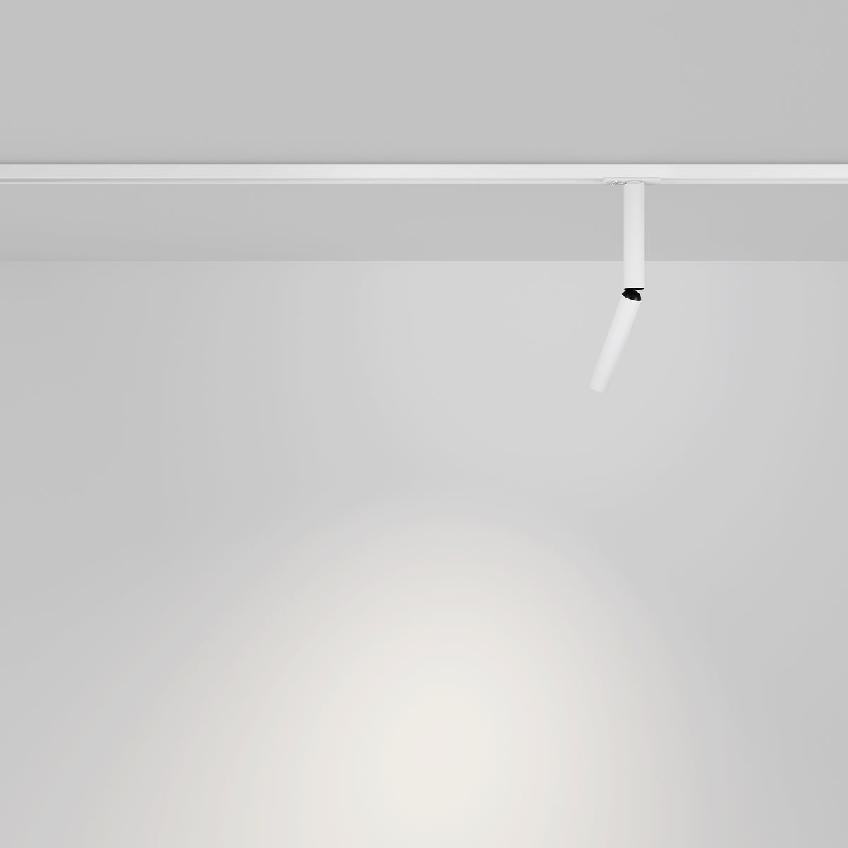 Sistemi a binario Focus Dual - Maytoni - Bianco - TR142-1-6W3K-W
